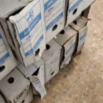 SPJ-USO ASTURIAS. EL TSJ RATIFICA EN SU MEMORIA LAS DEFICIENCIAS DENUNCIADAS POR SPJ-USO