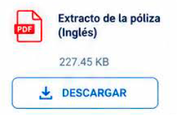 Descargar extracto de póliza EN